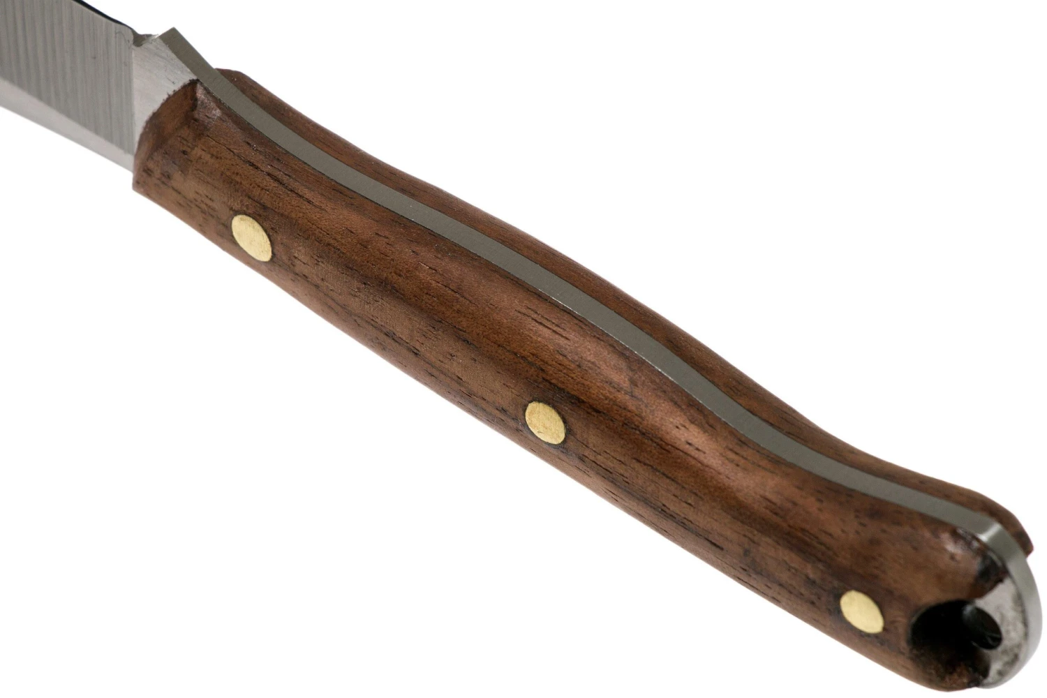 Condor Scotia Knife 102-3.55HC Cuchillo De Exterior 60045 - Imagen 4