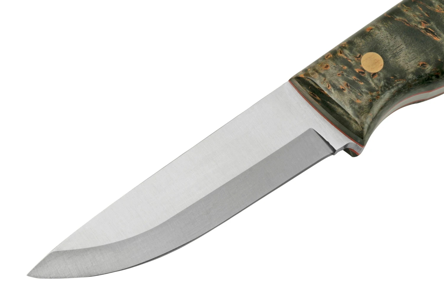 Brisa Trooper 95, 12C27 Scandi, Stabilized Curly Birch Cuchillo Fijo - Imagen 3